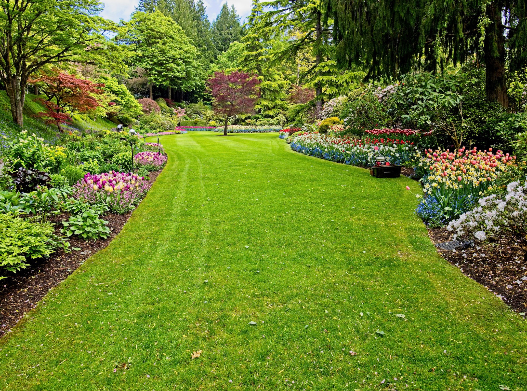 Lawn Care Lloydminster | Spring Lawn Tips