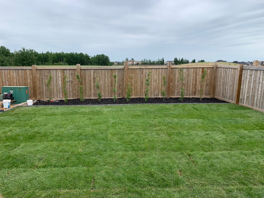 Apollo Property Maintenance project 6